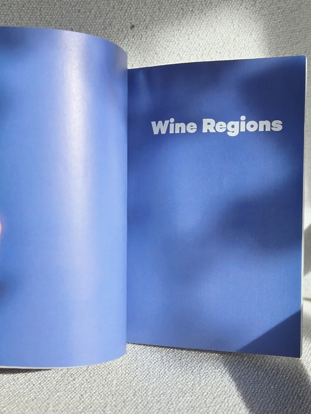 Wine Folly: Guide to Wine - Sommelier Bar Cart Bartender Cocktail IG TIKTOK - Picture 3 of 5